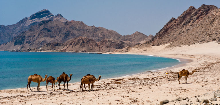 Hidden Gems of Oman Exploring the Unseen Wonders